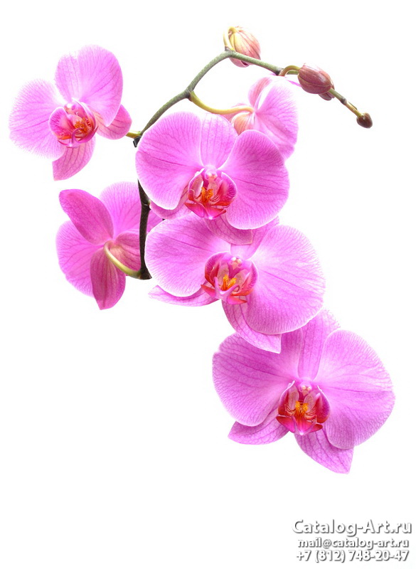 Натяжные потолки с фотопечатью - Розовые орхидеи 89